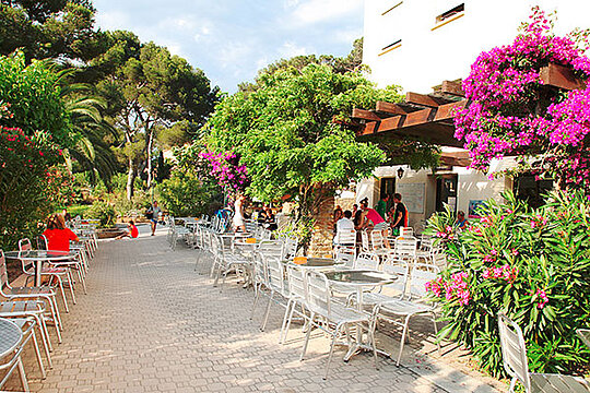porquerolles4