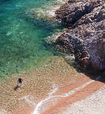 SAINT-RAPHAËL – AGAY – Résidence Petit Paradis