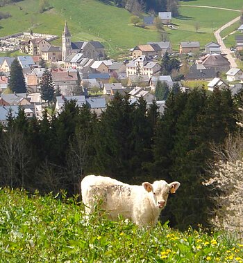 MÉAUDRE EN VERCORS – Résidence Les Chaberts