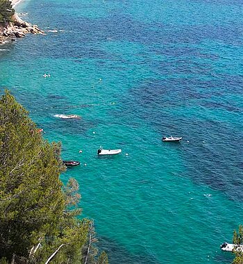 LE PRADET - PIN DE GALLE - Camping