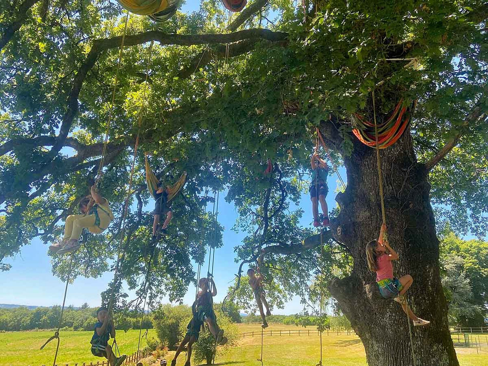 BEYSSAC 6-11 ans Jeu d'acrobaties à l'ombre d'un arbre centenaire