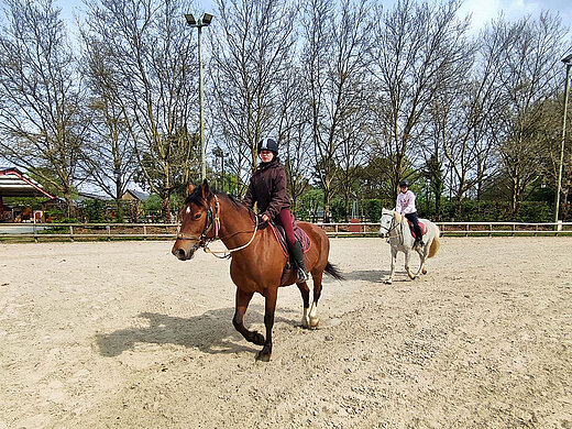 BRUZ FÉNICAT (Ille-et-Vilaine) Equitation