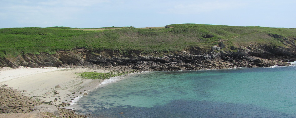 Bertheaume, Natation (Été)