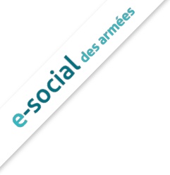 e-social des armées