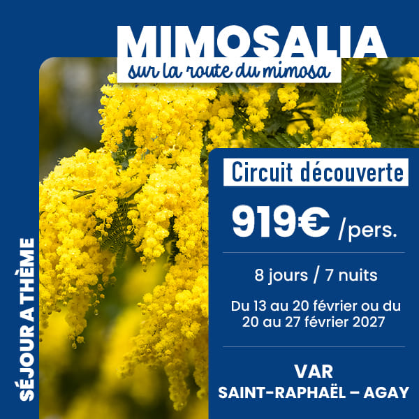 Mimosalia, sur la route du mimosa