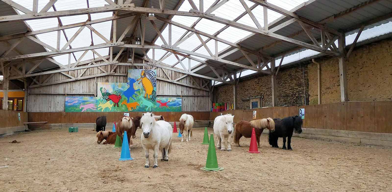 Bruz-Fénicat, équitation 6-13ans (Printemps)