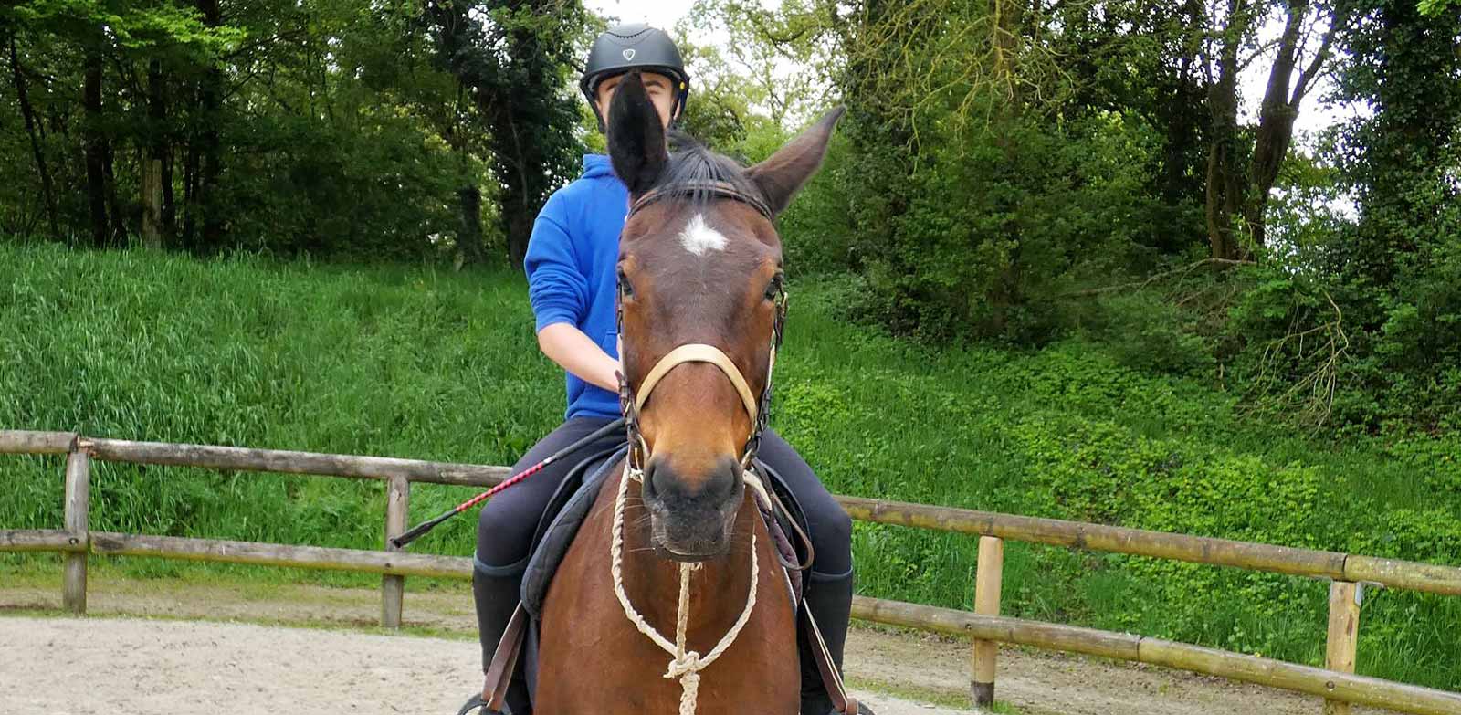 Bruz-Fénicat, équitation 6-13ans (Printemps)
