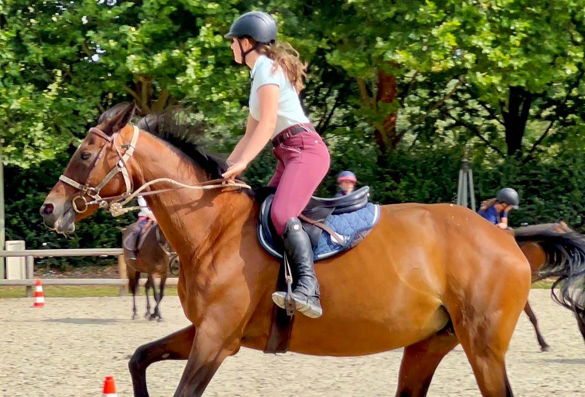 Bruz-Fénicat, Équitation 6-14 ans (Été)