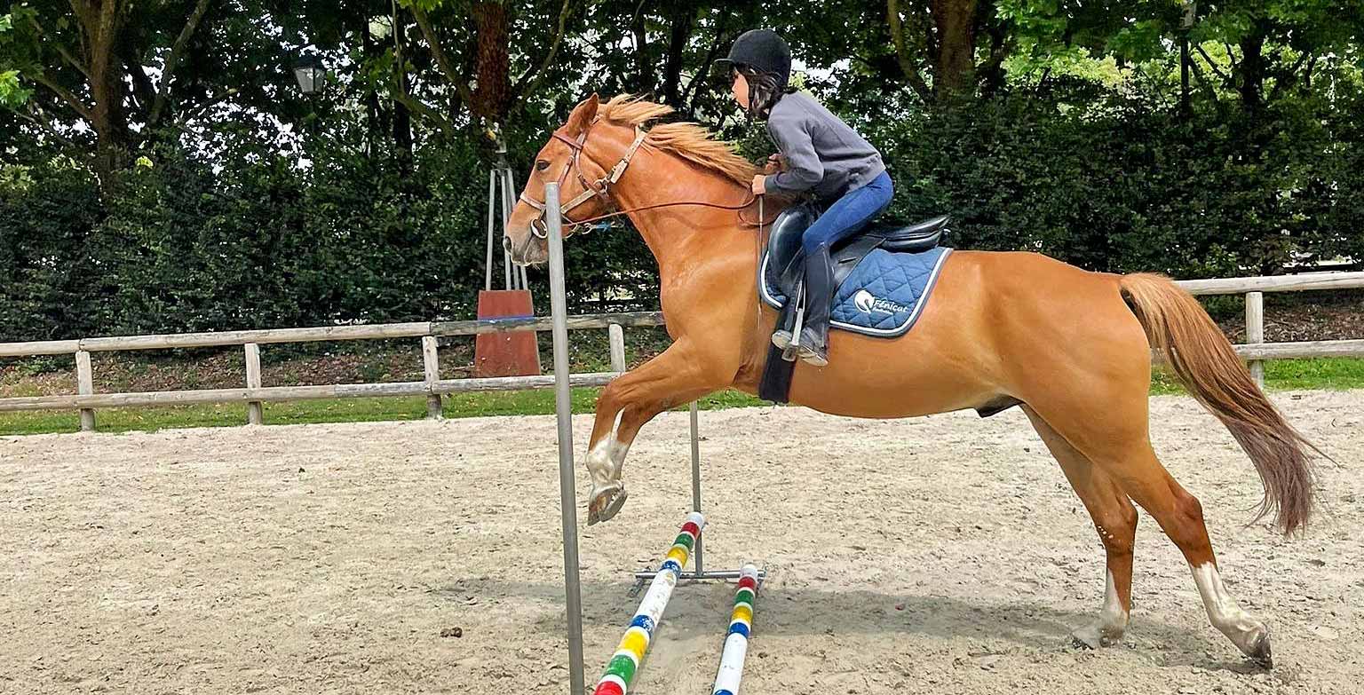 Bruz-Fénicat, Équitation 6-14 ans (Été)