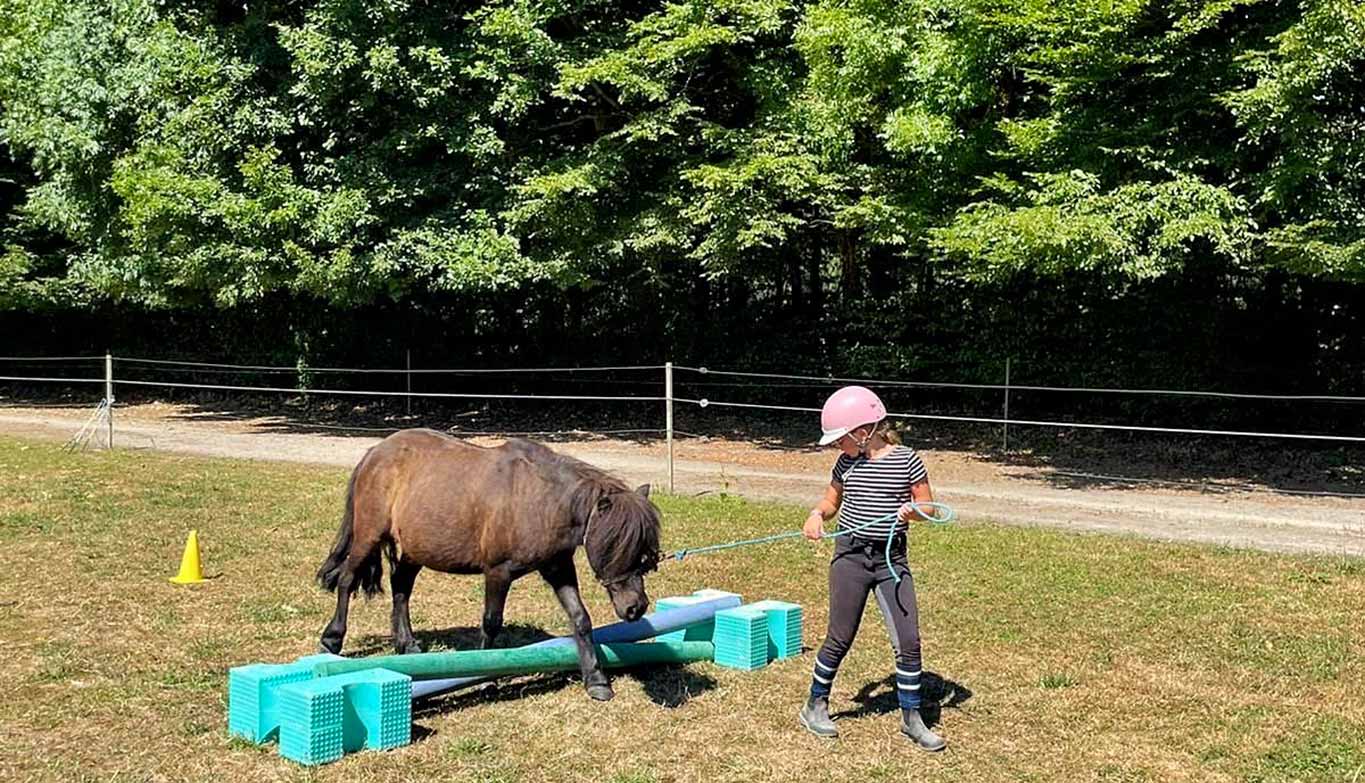 Bruz-Fénicat, Équitation 6-14 ans (Été)