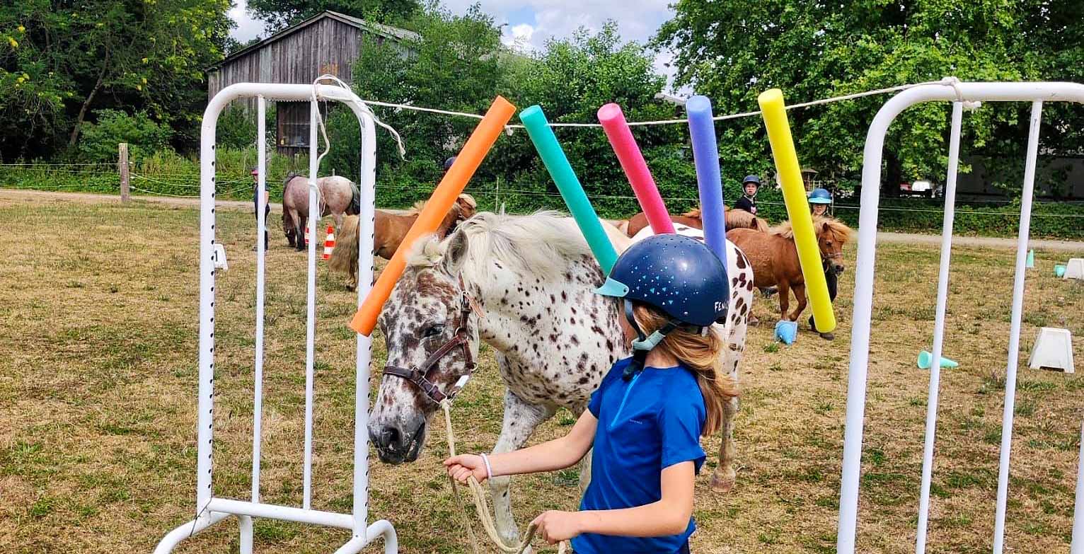 Bruz-Fénicat, Équitation 6-14 ans (Été)