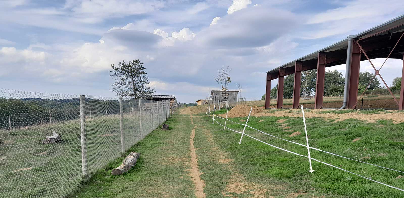 La Fontaine du Berger, Équitation 12-14 ans (Été)