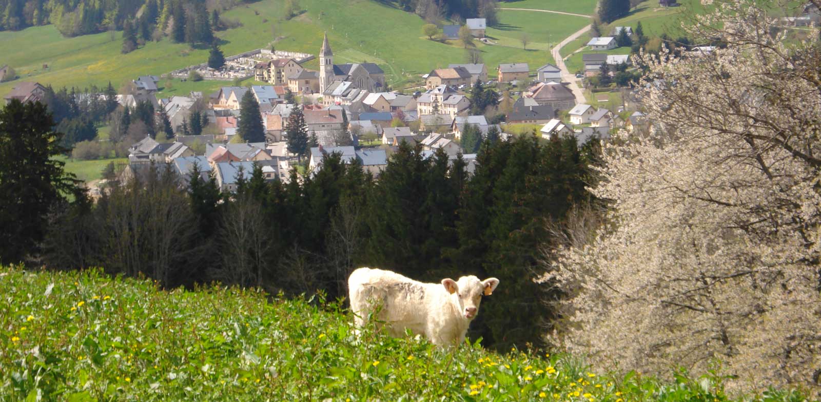 MÉAUDRE EN VERCORS – Résidence Les Chaberts