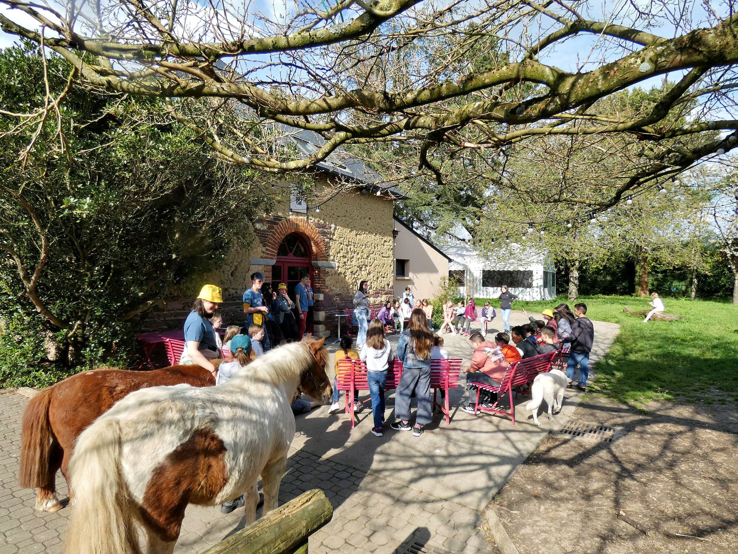 Bruz-Fénicat, équitation 6-13ans (Printemps)