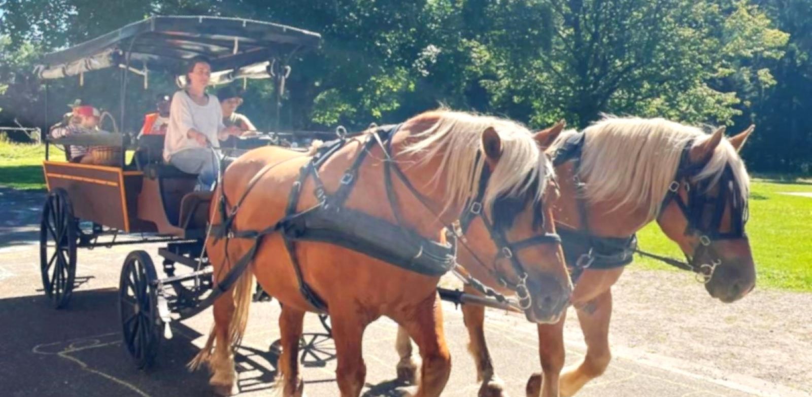 Rochesson, Les petits chefs 6-11 ans (Été)